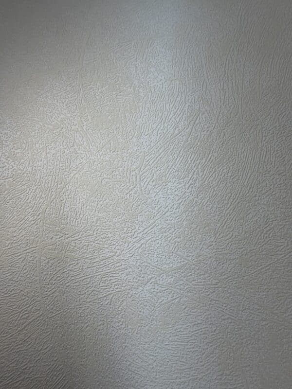 Fiona Structure 2840 Plaster Coarse – פיברה דקורטיבית גסה לצביעה